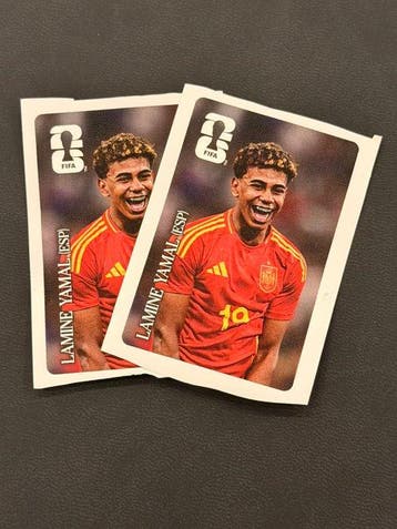Panini World Cup Stickers 2 sets of 12/12 complete set, Collections