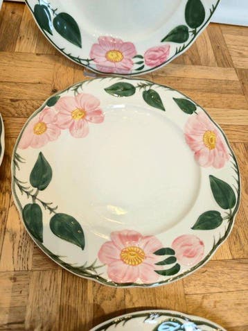 Villeroy & Boch - Eetservies voor 6 (6) - Wild-Rose,