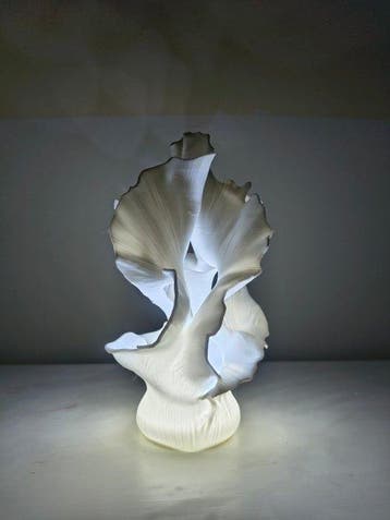 Brillab - Lamp - Calyx 1.0 door Brillab - PLA