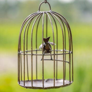 Vogelbad - Metaal - Vogelkooi als drinkbak
