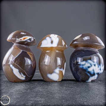Natuurlijke Orca-Achat-paddenstoelen – Set van 3