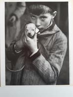 André Kertész (1894–1985) - 2 photos Marché aux animaux, Antiquités & Art, Art | Peinture | Moderne