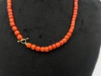 Sans prix de réserve - Collier - 14 carats Or jaune, corail