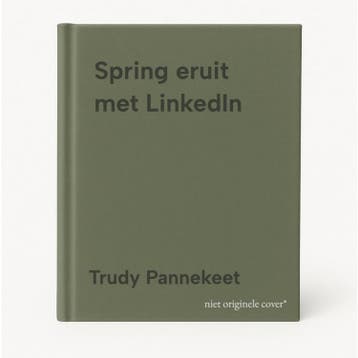 Spring eruit met LinkedIn 9789083220413 Trudy Pannekeet, Boeken, Verzenden, Gelezen, Trudy Pannekeet