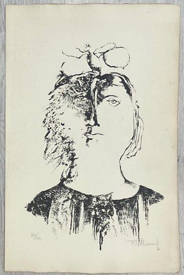 Frans Minnaert (1929-2011) - Fly on the head