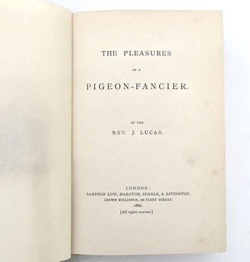 Lucas - The Pleasures of a Pigeon-Fancier - 1886
