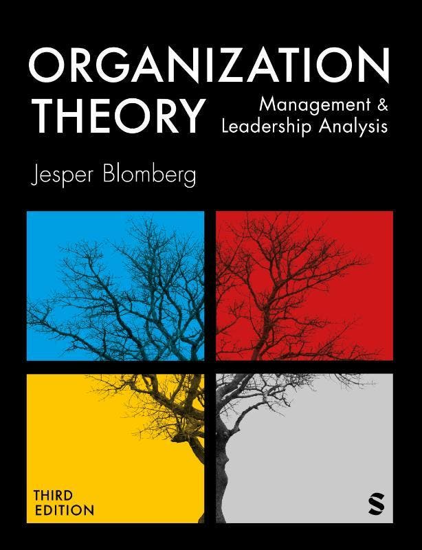 Organization Theory | Jesper Blomberg | Nieuw, Livres, Livres Autre, Envoi