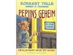Pepijns geheim 9789020203189 R.S. Friedman, Verzenden, R.S. Friedman