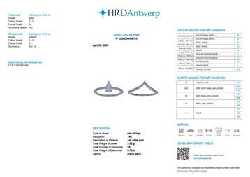 Stapelring - 14 karaat Witgoud - 0.78ct. tw. Diamant