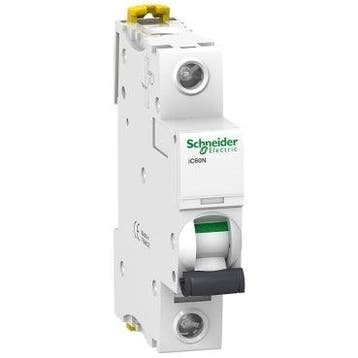 Disjoncteur Schneider Electric - A9F73106, Verzenden, Nieuw