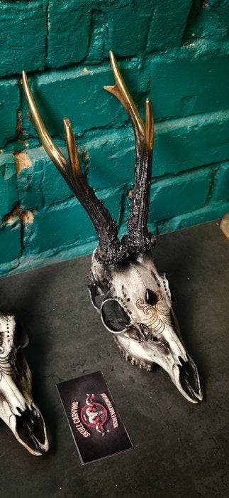 Ree Schedel - Caproleus caproleus - 30 cm - 11 cm - 10 cm -