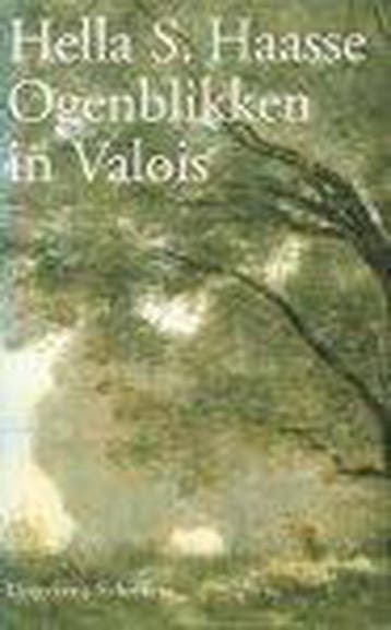 Ogenblikken in Valois 9789055460328 Hella S. Haasse, Verzenden, Hella S. Haasse