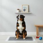 vidaXL Non-woven stof huisdier trainingspad 50 pcs 120 x 80, Dieren en Toebehoren, Verzenden, Nieuw