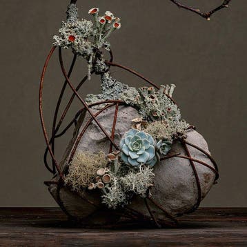 Inna Etuvgi - RUSTY ROOTS - Catawiki Special Edition - 1/25