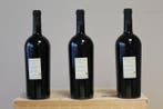 2008 Pianese Fosso Degli Sciadatti - Toscane - 3 Magnums, Nieuw