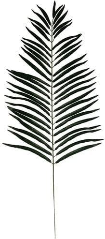 Giant Palmleaf Palmblad Groen 116 cm per stuk, Nieuw