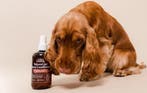 REF Furry Friends Spray Conditioner (Leave-in Conditioner), Verzenden, Nieuw, Shampoo of Conditioner