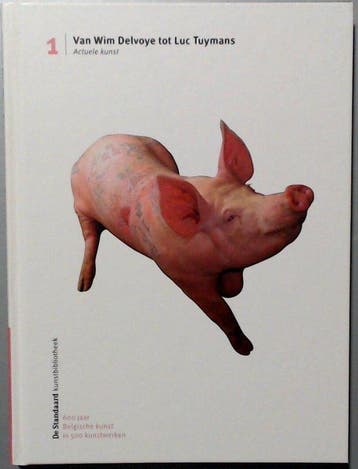 Van Wim Delvoye tot Luc Tuymans 9789020974072 Ann Cesteleyn, Verzenden, Zo goed als nieuw, Ann Cesteleyn
