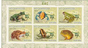 Mozambique - 2007 - Kikkers - Postfris, Postzegels en Munten, Verzenden, Postfris, Dier of Natuur