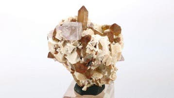 fluorite, orthose, quartz fumé - Papachacra, Province de