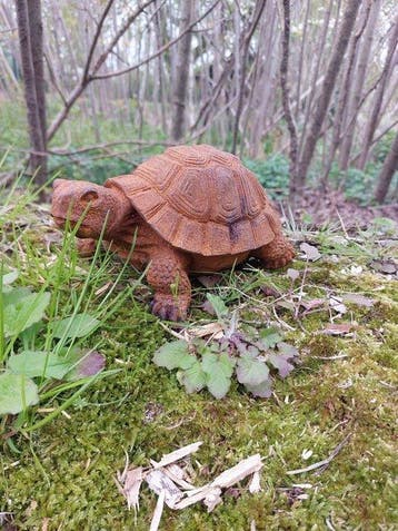 Statue, turtle in metal with rusty patina - 9 cm - Fonte