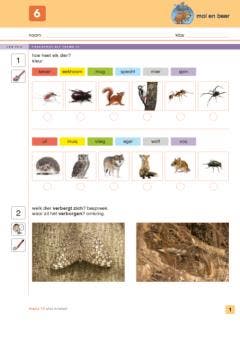 mol en beer - werkboek 6 9789048633005 Heidi Walleghem, Boeken, Schoolboeken, Zo goed als nieuw, Verzenden