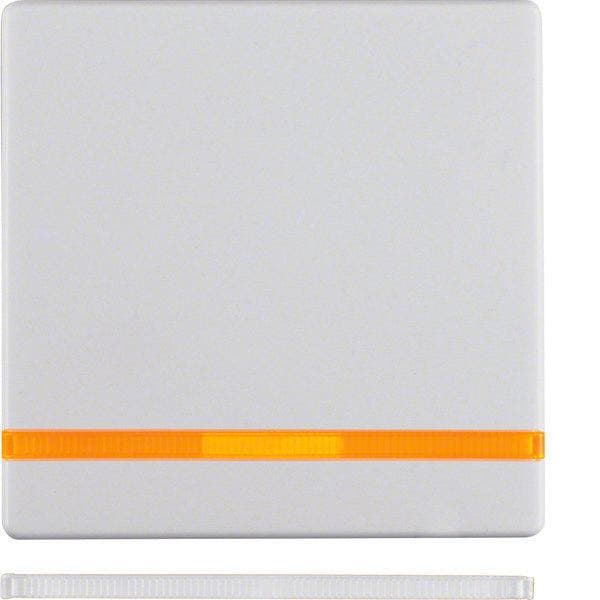 Hager Berker Q.1/Q.3 Control Element/Central Plate, Doe-het-zelf en Bouw, Elektriciteit en Kabels, Verzenden