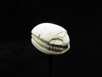 Oud-Egyptisch Speksteen Scarab met koninklijke naam van