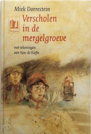 VERSCHOLEN IN DE MERGELGROEVE 9789021610689 Dorrestein, Verzenden, Gelezen, Dorrestein