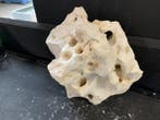 White Moonstone Selected MS18   9,5KG / 32x23x22cm, Animaux & Accessoires, Poissons | Aquariums & Accessoires, Ophalen of Verzenden