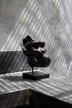 sculptuur, Western Gorilla Skull, cast in the finest