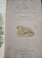 Robert Mudie - Man (Social/Intellectual/Physical) -