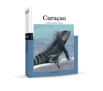 Curaçao / PassePartout reisgidsen 9789493160903, Boeken, Reisgidsen, Verzenden, Zo goed als nieuw, Ellen de Vriend
