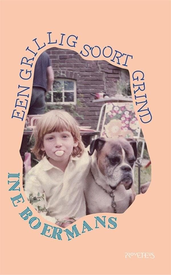 Een grillig soort grind (9789044654257, Ine Boermans), Boeken, Romans, Nieuw, Verzenden