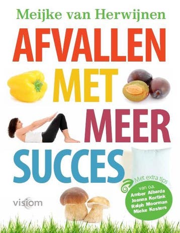 Afvallen met meer succes 9789082140309 Meijke van Herwijnen, Verzenden, Zo goed als nieuw, Meijke van Herwijnen