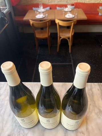 2022 Domaine Marc Roy Les Champs Perdrix blanc - Marsannay, Nieuw