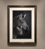 Aiana Roz - The Zebra’s Legacy - Fine Art Photography