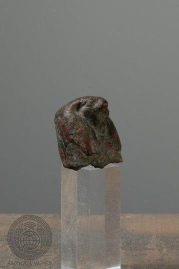 Oude Egypte, late periode Koper Valkenkop – Fragment van een, Antiek en Kunst