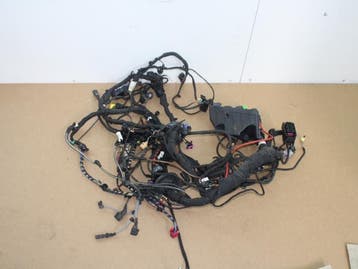 Kabelboom Volkswagen Tiguan O145384, Nieuw