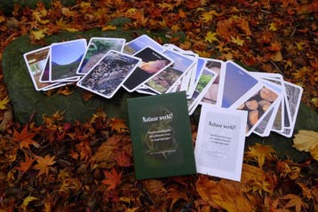 Wandelinspiratiekaarten met prikkelende levens- en, Verzenden, Gelezen, Tini van de Wetering