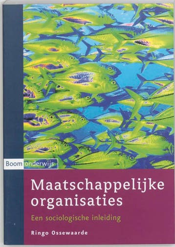 Maatschappelijke organisaties 9789085062219 R. Ossewaarde, Boeken, Verzenden, Gelezen, R. Ossewaarde