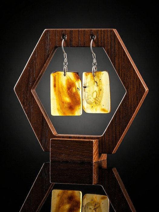 Echte Baltische amber oorbellen – Bloedgevoede mug als, Antiek en Kunst, Curiosa en Brocante