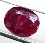 Cts. 2.60 Ruby facettenrijk - Hoogte: 9.5 mm - Breedte: 7.5