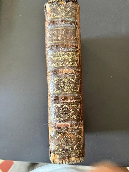 Pere Basile de Soissons - Fondement inébranlable de la, Antiquités & Art, Antiquités | Livres & Manuscrits