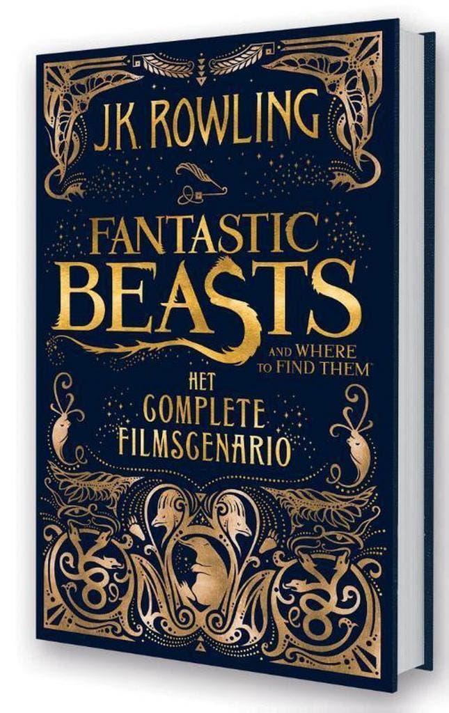 Fantastic beasts and where to find them / Fantastic beasts /, Livres, Livres pour enfants | Jeunesse | 13 ans et plus, Envoi