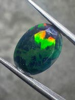 Ethiopische zwarte opaal met facetten. 3,00 karaat. Geen