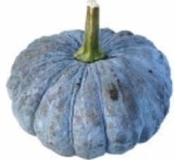 Beung Karn / Bungkan 021 moschata zaden, Hobby en Vrije tijd, Knutselen, Nieuw