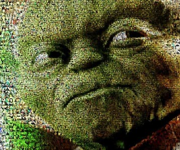 David Law - Crypto Yoda - Star Wars