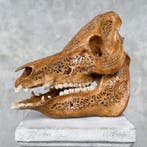 PRIX SANS RÉSERVE - Crâne de sanglier sculpté à la main, Antiquités & Art