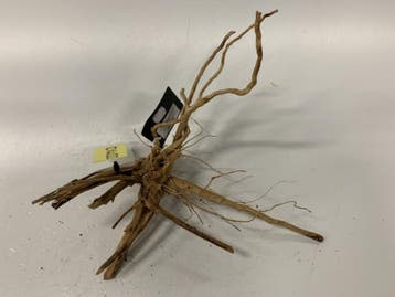 Driftwood Selected DW22 - 44x36x15cm (Small drift wood), Ophalen of Verzenden, Nieuw, Plant(en), Steen of Hout